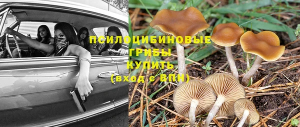 метадон Белокуриха